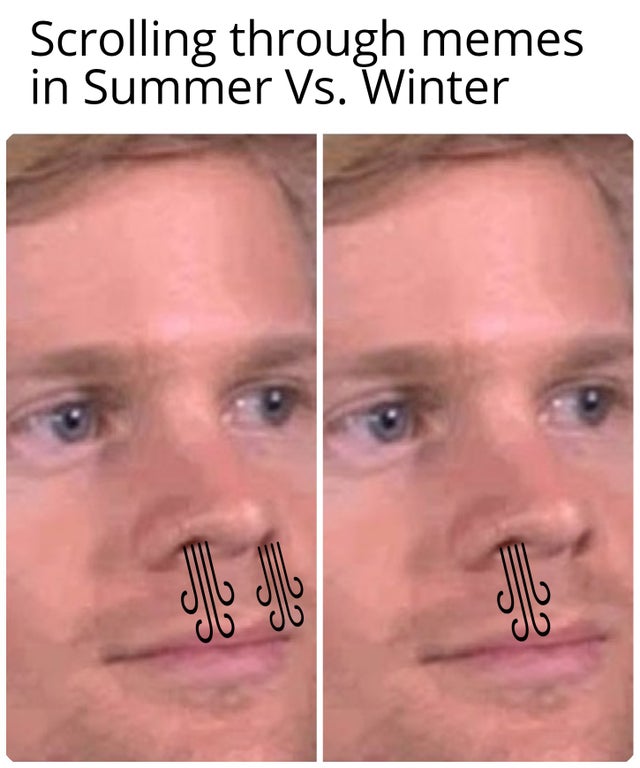 funny memes - Scrolling through memes in Summer Vs. Winter