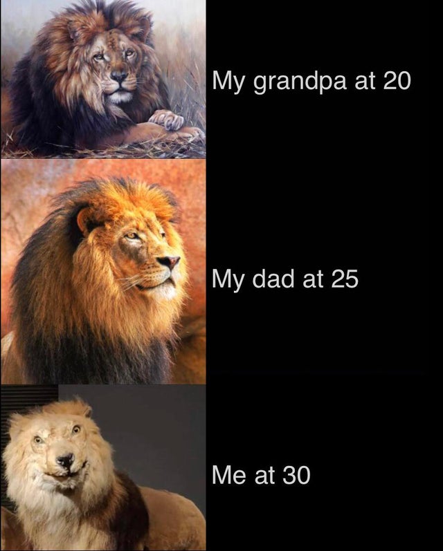 funny memes - My grandpa at 20 My dad at 25 Me at 30