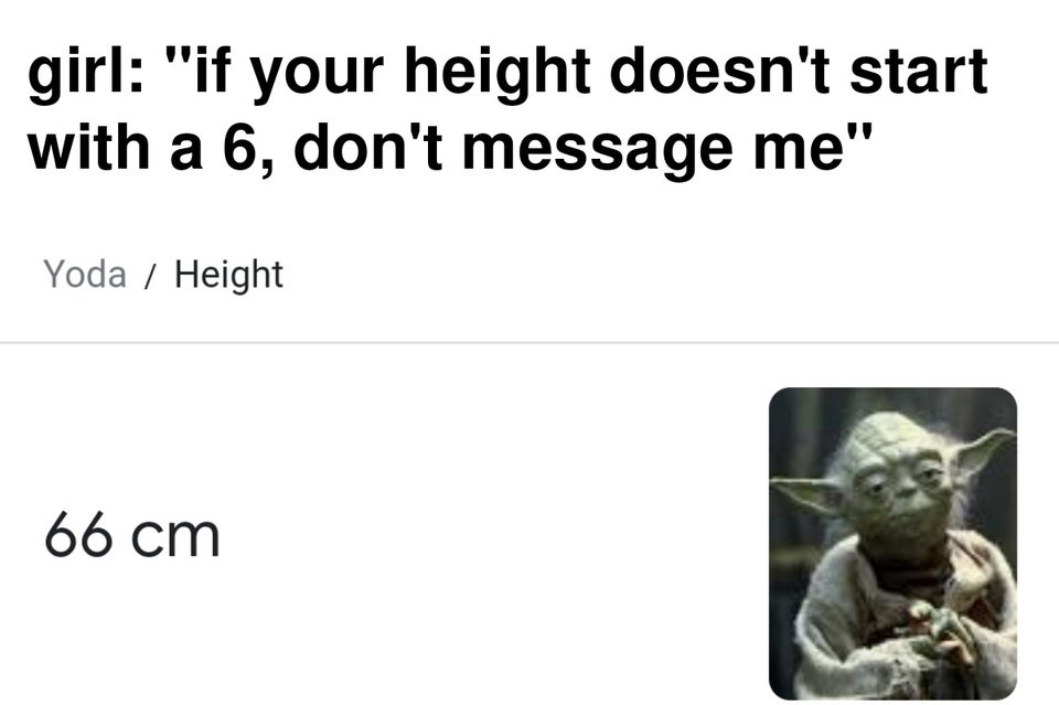 funny memes - yoda height 66 cm