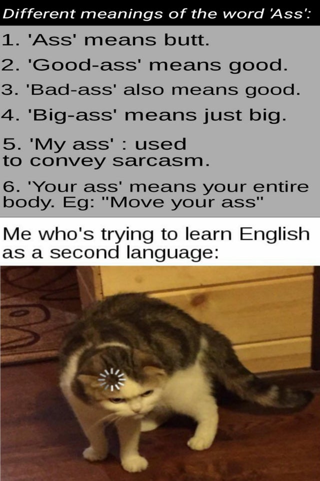 funny memes - Different meanings of the word 'Ass' 1. 'Ass' means butt. 2. 'Goodass' means good. 3. 'Badass' also means good. 4. 'Bigass' means just big. 5. 'My ass' used to convey sarcasm. 6. 'Your ass' means your entire body. Eg
