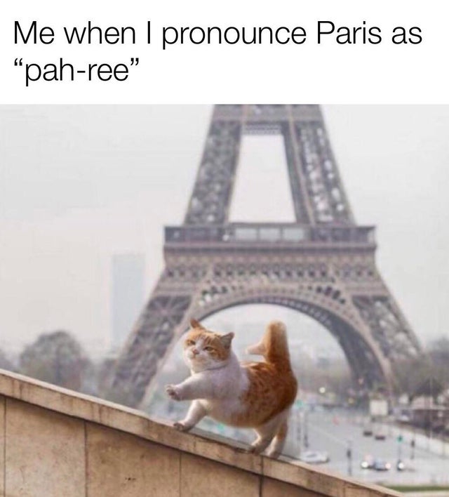 funny memes - paris cat meme - Me when I pronounce Paris as pahree