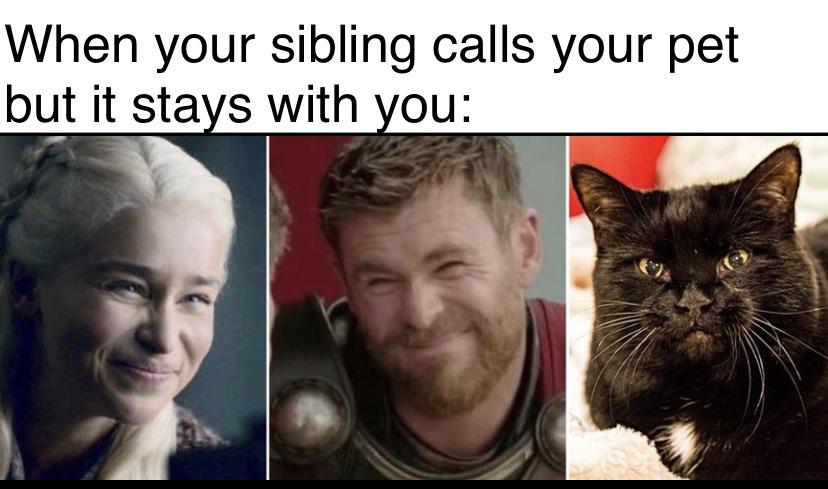 funny memes - When your sibling calls your pet but it stays with you