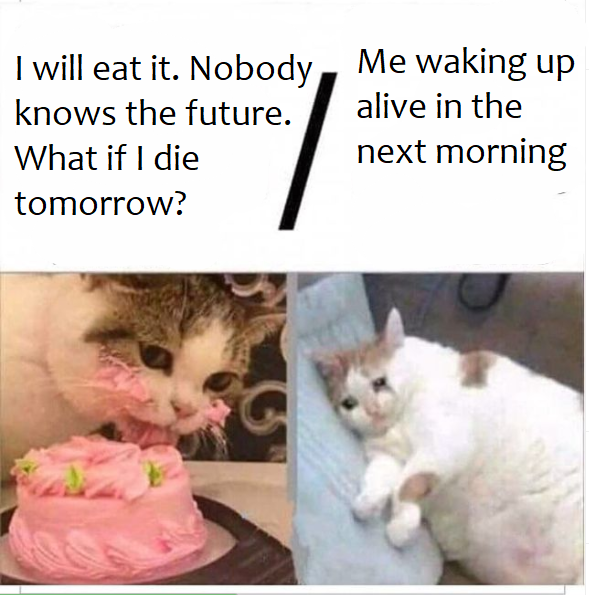 funny memes - fat boy cat - I will eat it. Nobody, Me waking up knows the future. alive in the What if I die next morning tomorrow?