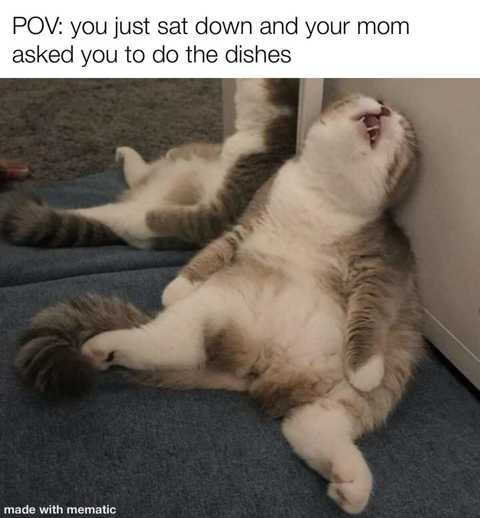 funny memes - Pov you just sat down and your mom asked you to do the dishes