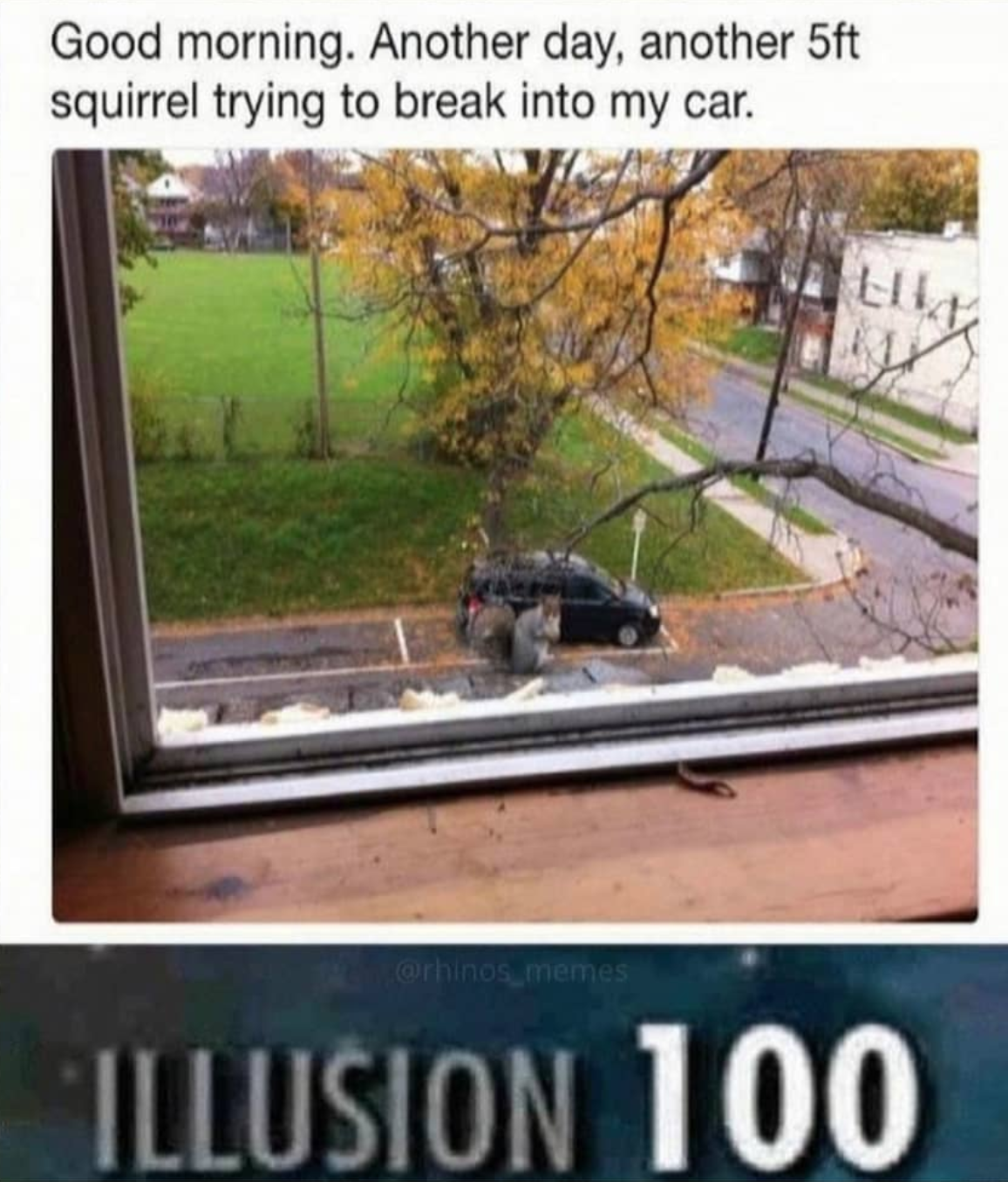 funny gaming memes - grass - Good morning. Another day, another 5ft squirrel trying to break into my car. Illusion 100