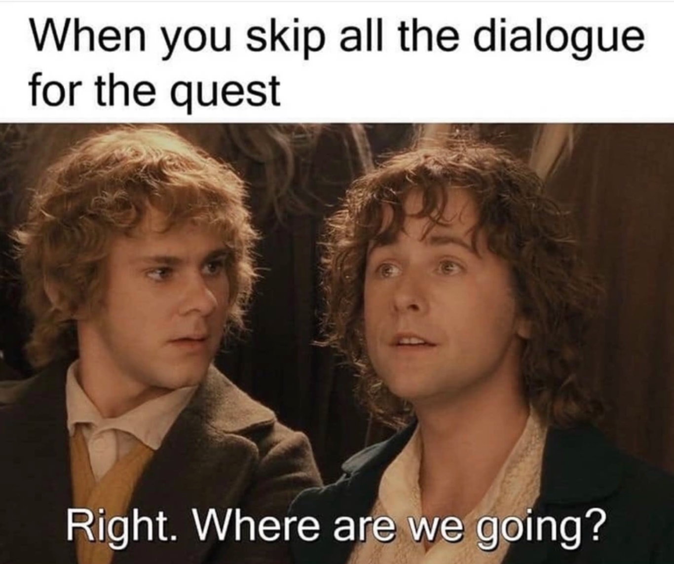 funny gaming memes - lord of the rings memes - When you skip all the dialogue for the quest Right. Where are we going?