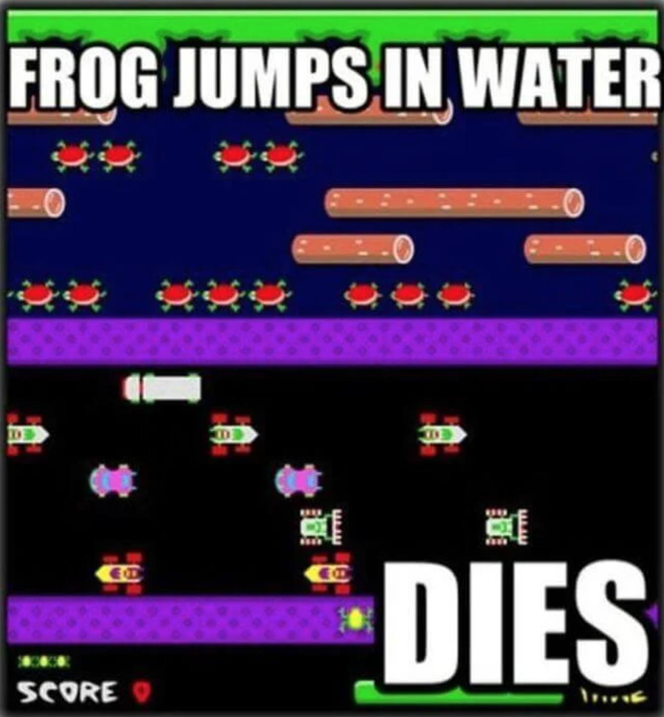funny gaming memes - games - Frog Jumps In Water Dies Score