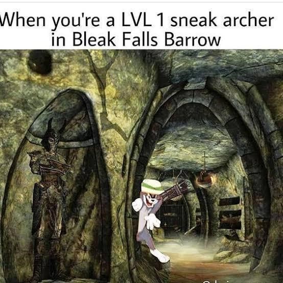 funny gaming memes - skyrim memes - When you're a Lvl 1 sneak archer in Bleak Falls Barrow