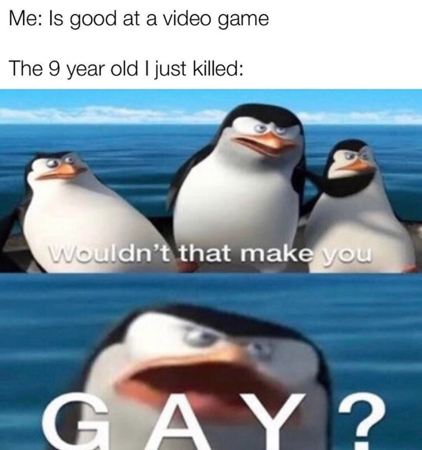 funny gaming memes - memes about 5 year olds - Me Is good at a video game The 9 year old I just killed Wouldn't that make you Gay?