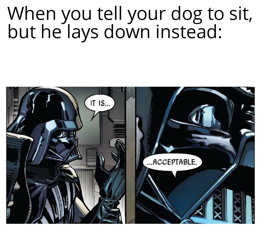 funny memes - darth vader it is acceptable meme - When you tell your dog to sit, but he lays down instead It Is... ... Acceptable.