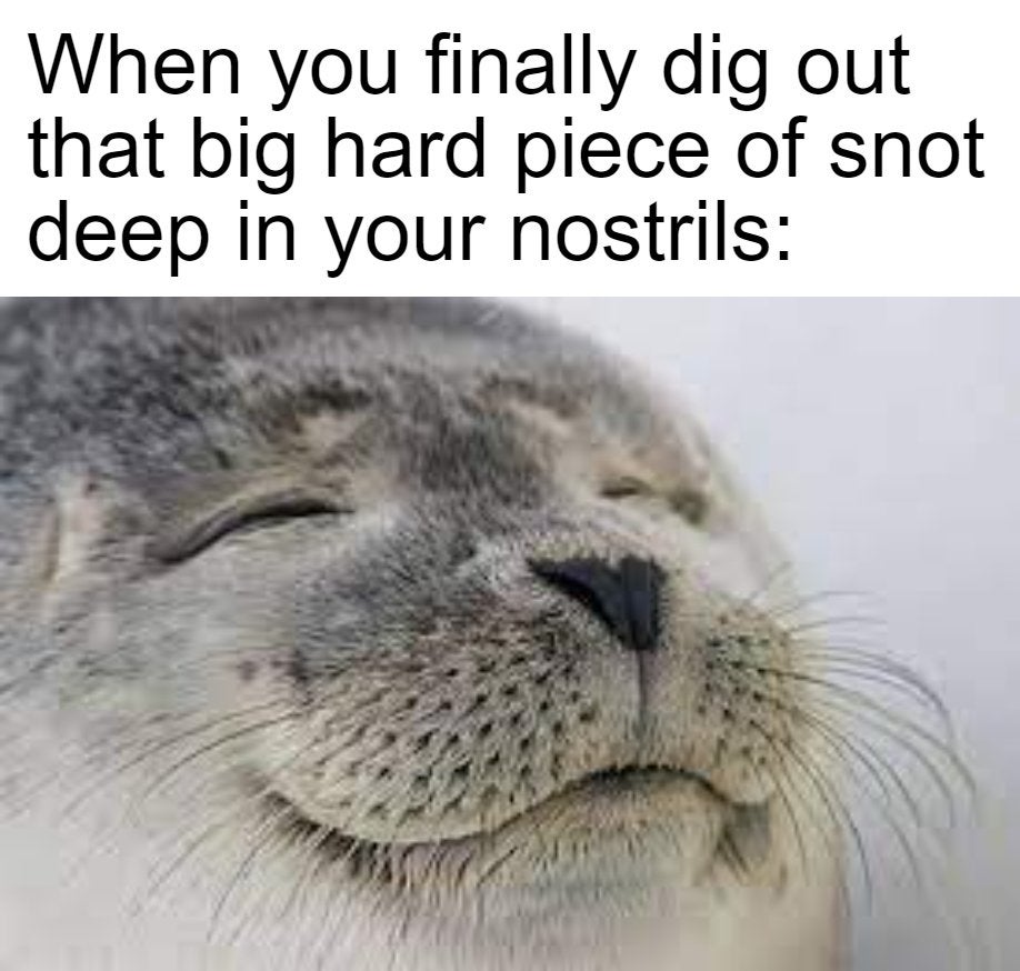 funny memes - wholesome seal - When you finally dig out that big hard piece of snot deep in your nostrils