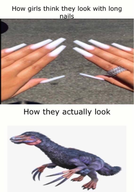 funny memes - How girls think they look with long nails How they actually look