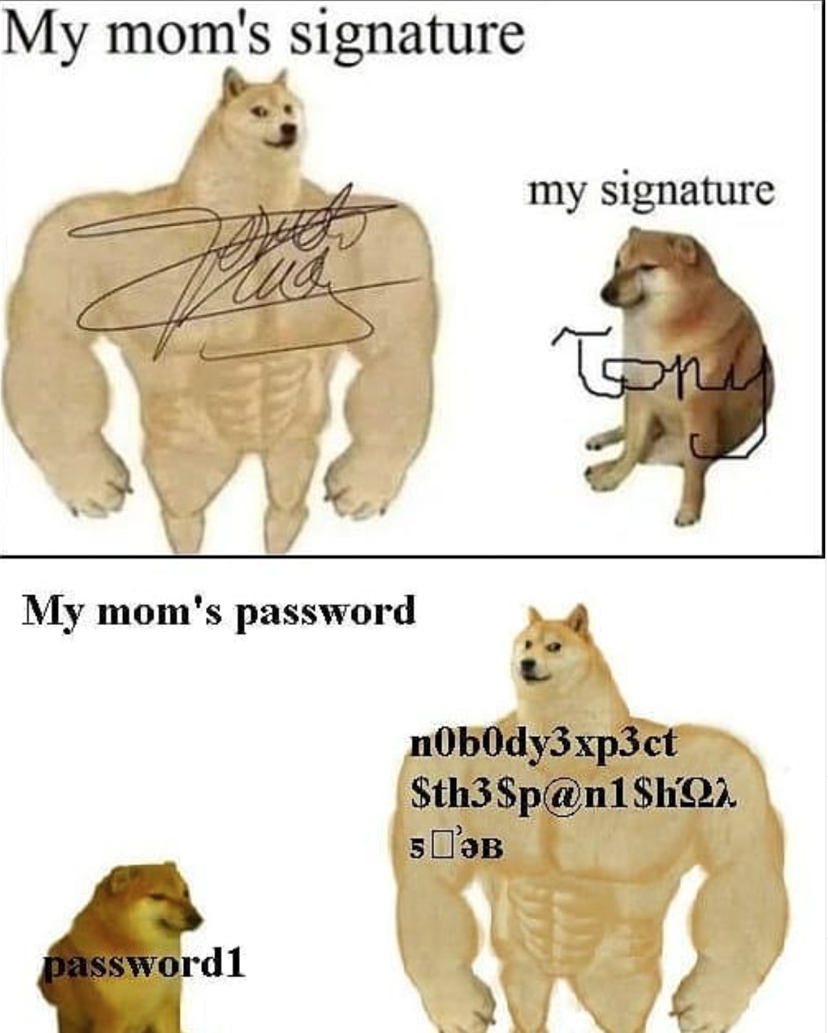 funny gaming memes - doge signature meme - My mom's signature my signature Tong My mom's password n0b0dy3xp3ct Sth3Span1$h22 5 password1