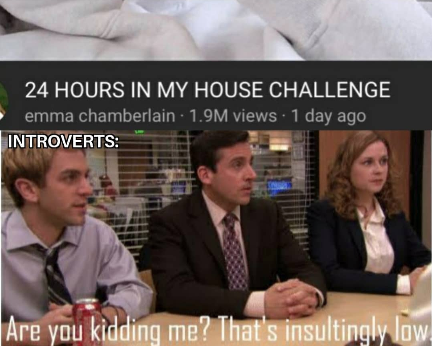 funny gaming memes - Internet meme - 24 Hours In My House Challenge emma chamberlain 1.9M views 1 day ago Introverts Are you kidding me? That's insultingly low