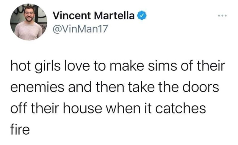 funny gaming memes - twitter sarcasm - Vincent Martella hot girls love to make sims of their enemies and then take the doors off their house when it catches fire