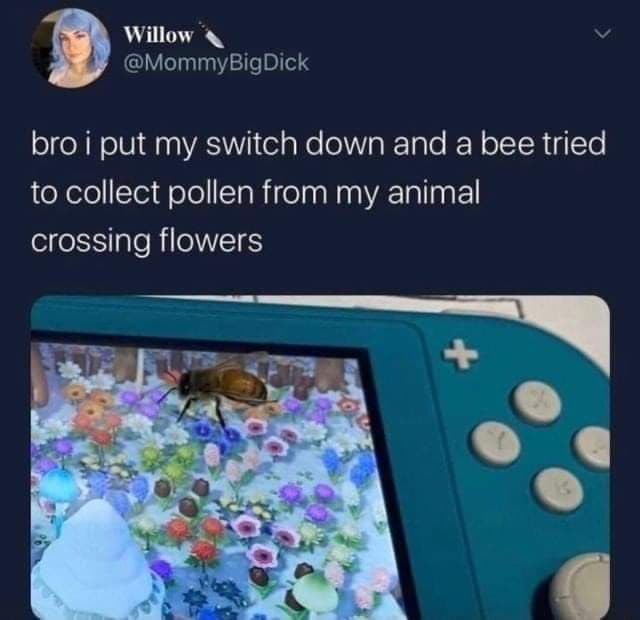 funny gaming memes - animal crossing flower memes - Willow bro i put my switch down and a bee tried to collect pollen from my animal crossing flowers
