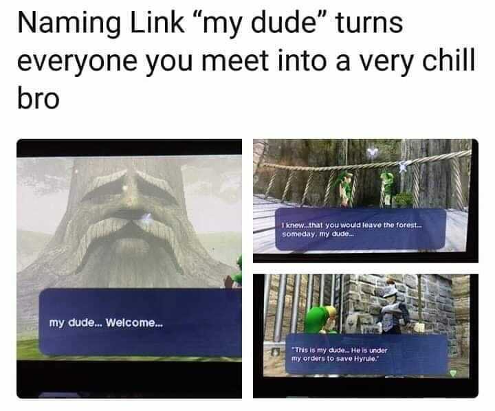 funny gaming memes - presentation - Naming Link my dude