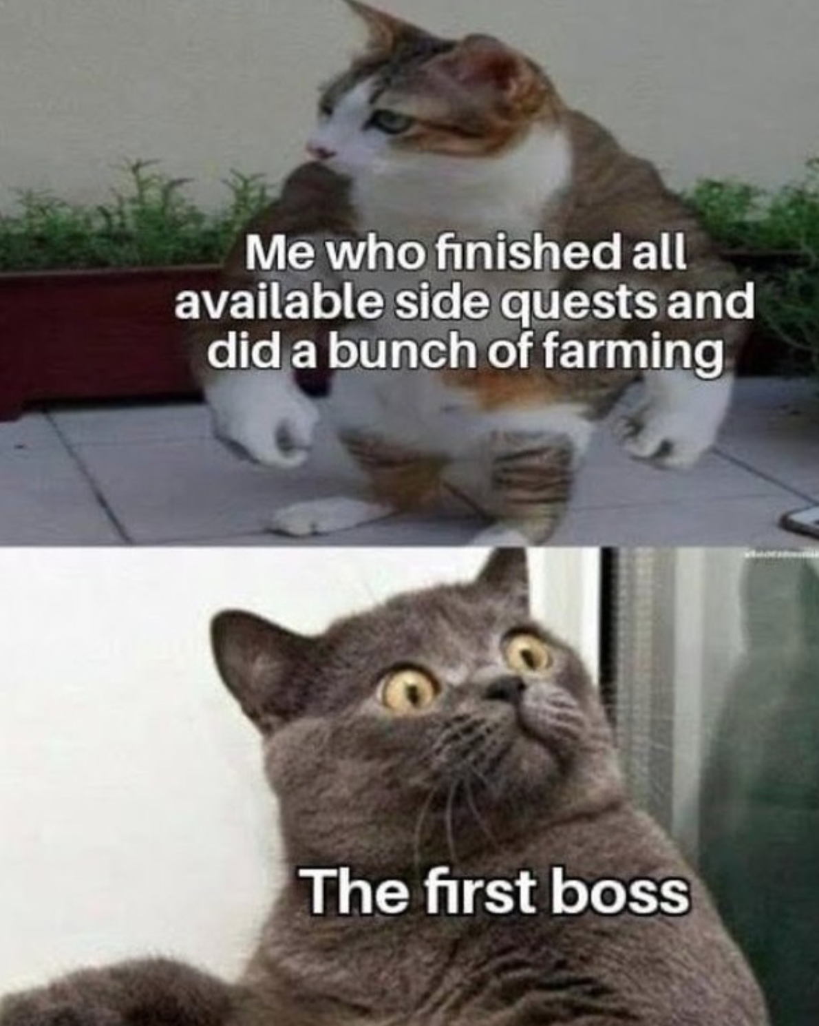 funny gaming memes  - Me who finished all available side quests and did a bunch of farming The first boss