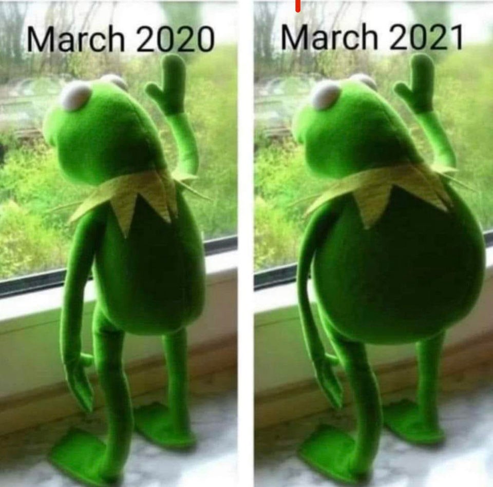 funny memes - life in quarantine meme - march 2020 march 2021 fat kermit the frog