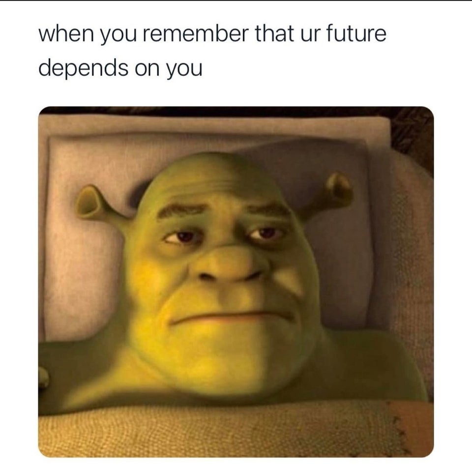 funny memes - shrek forever after - when you remember that ur future depends on you