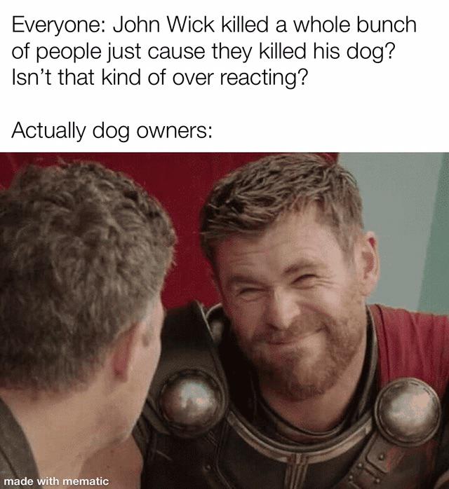 funny memes - Everyone John Wick killed a whole bunch of people just cause they killed his dog? Isn't that kind of over reacting? Actually dog owners