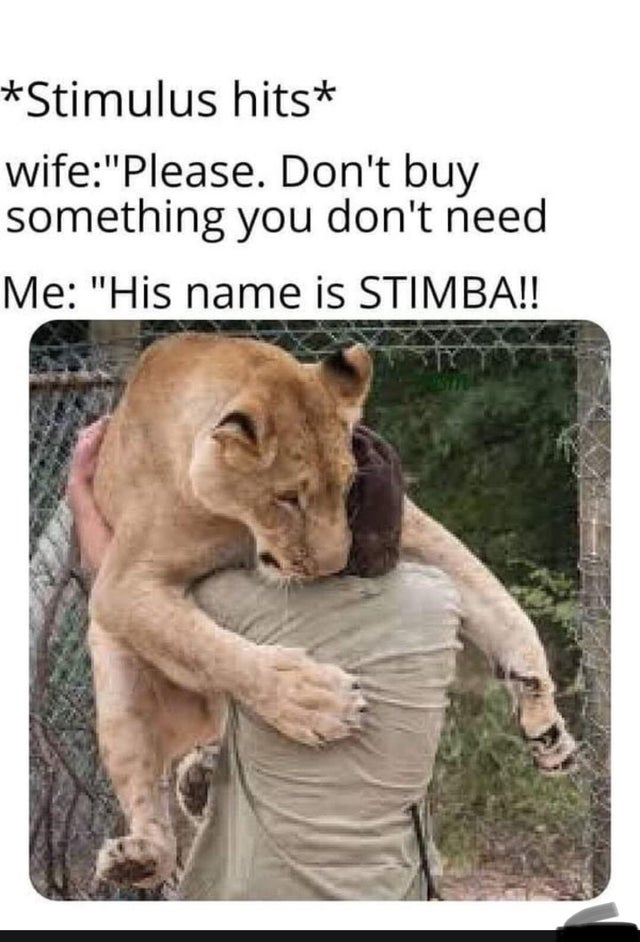 funny memes - Stimulus hits wife Please. Don't buy something you don't need Me
