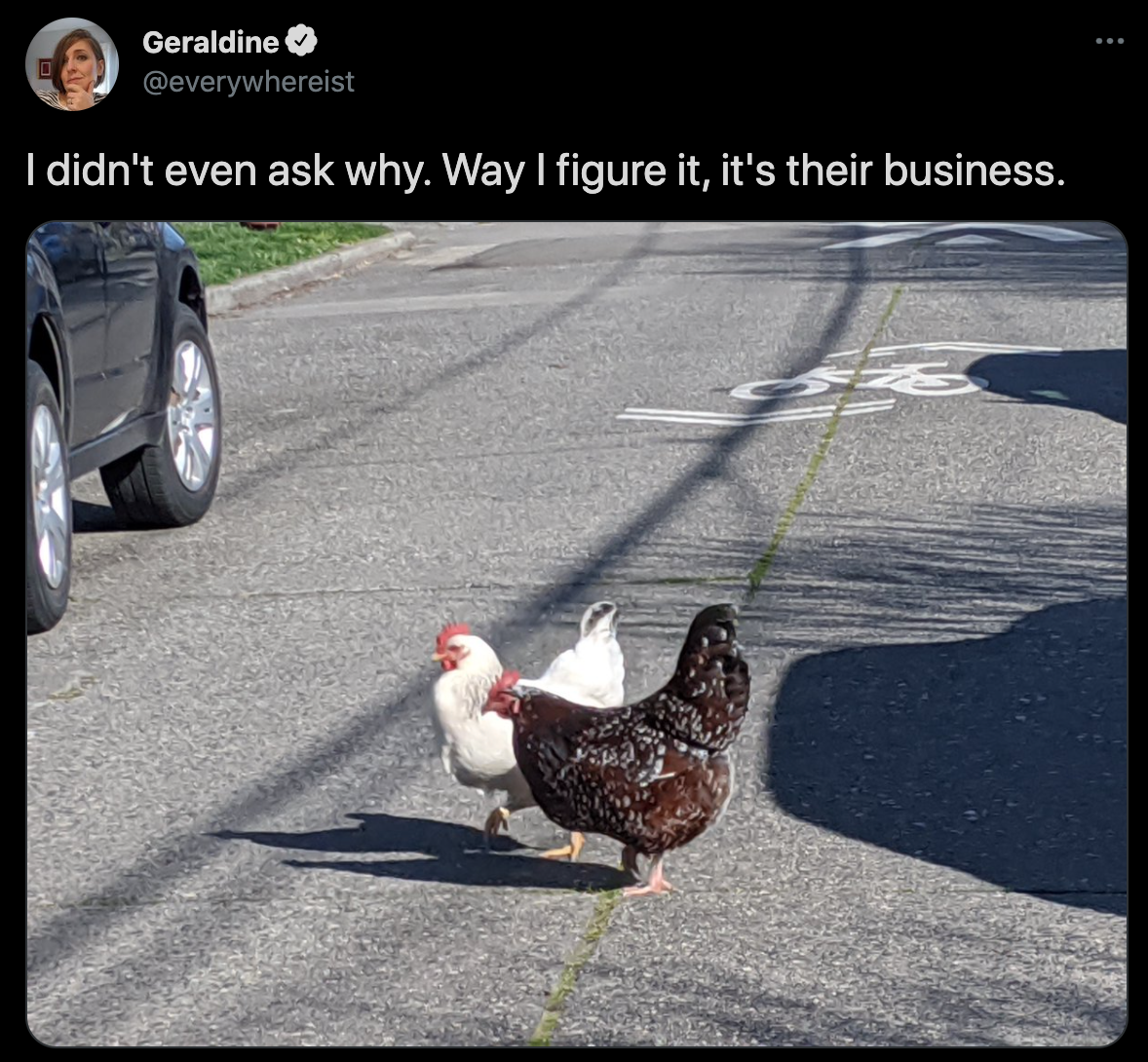 funny twitter jokes - I didn't even ask why. Way I figure it, it's their business. - chickens crossing the road