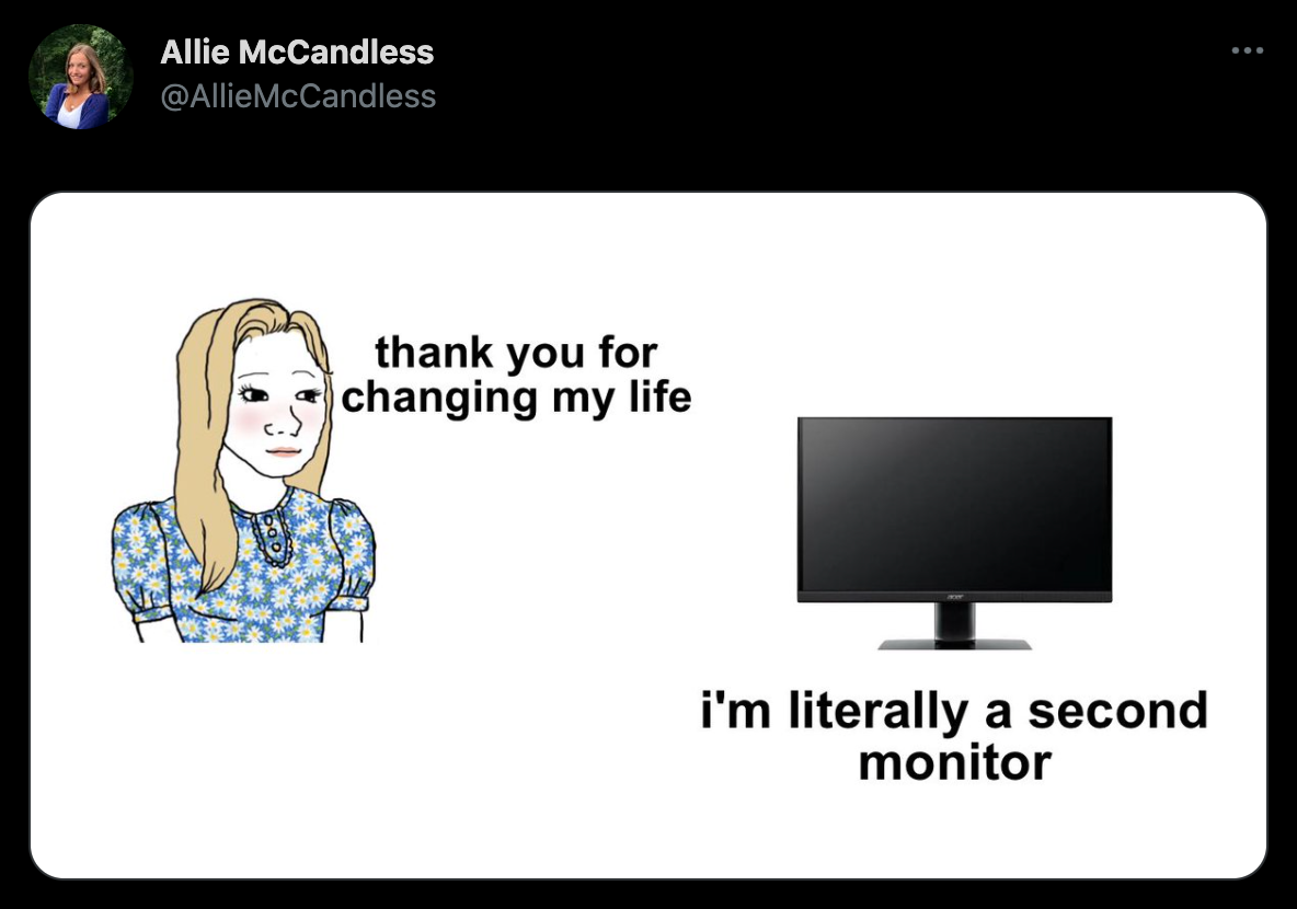 funny twitter jokes - thank you for changing my life i'm literally a second monitor