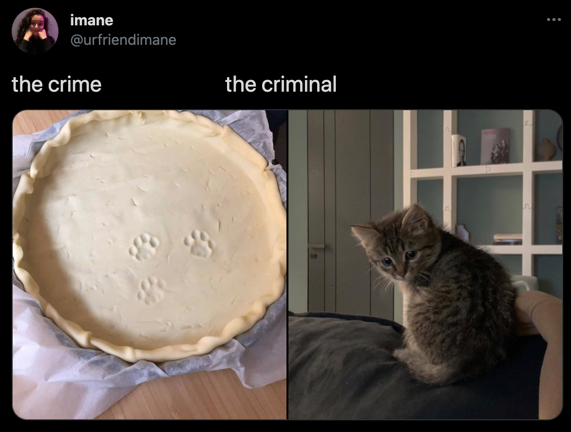 funny twitter jokes - the crime the criminal