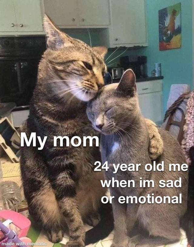 funny cat memes instagram - My mom 24 year old me when im sad or emotional made with mematic