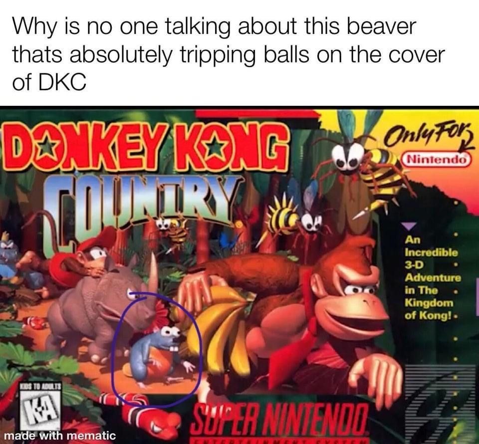 funny gaming memes - donkey kong country game - Why is no one talking about this beaver thats absolutely tripping balls on the cover of Dkc Donkey Kong Only For Tury An Incredible 3D Adventure in The Kingdom of Kong! Eds To Adu Super Nintendo. made with m