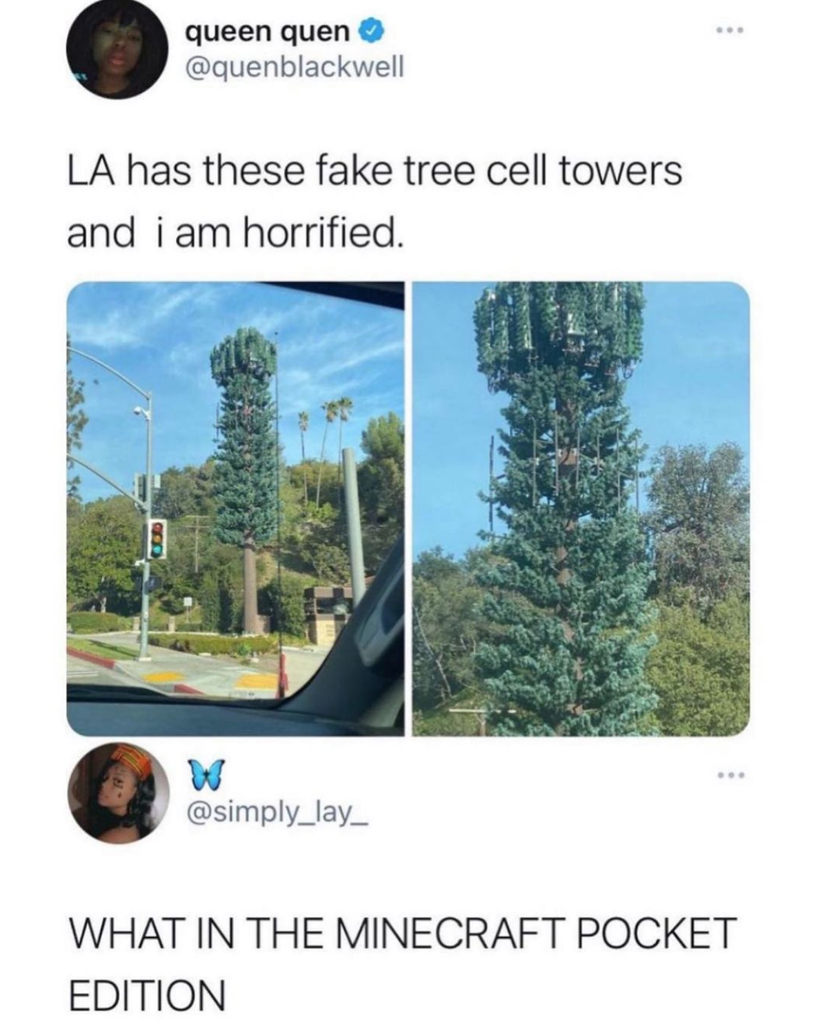 funny gaming memes - biome - ... queen quen La has these fake tree cell towers and i am horrified. w What In The Minecraft Pocket Edition