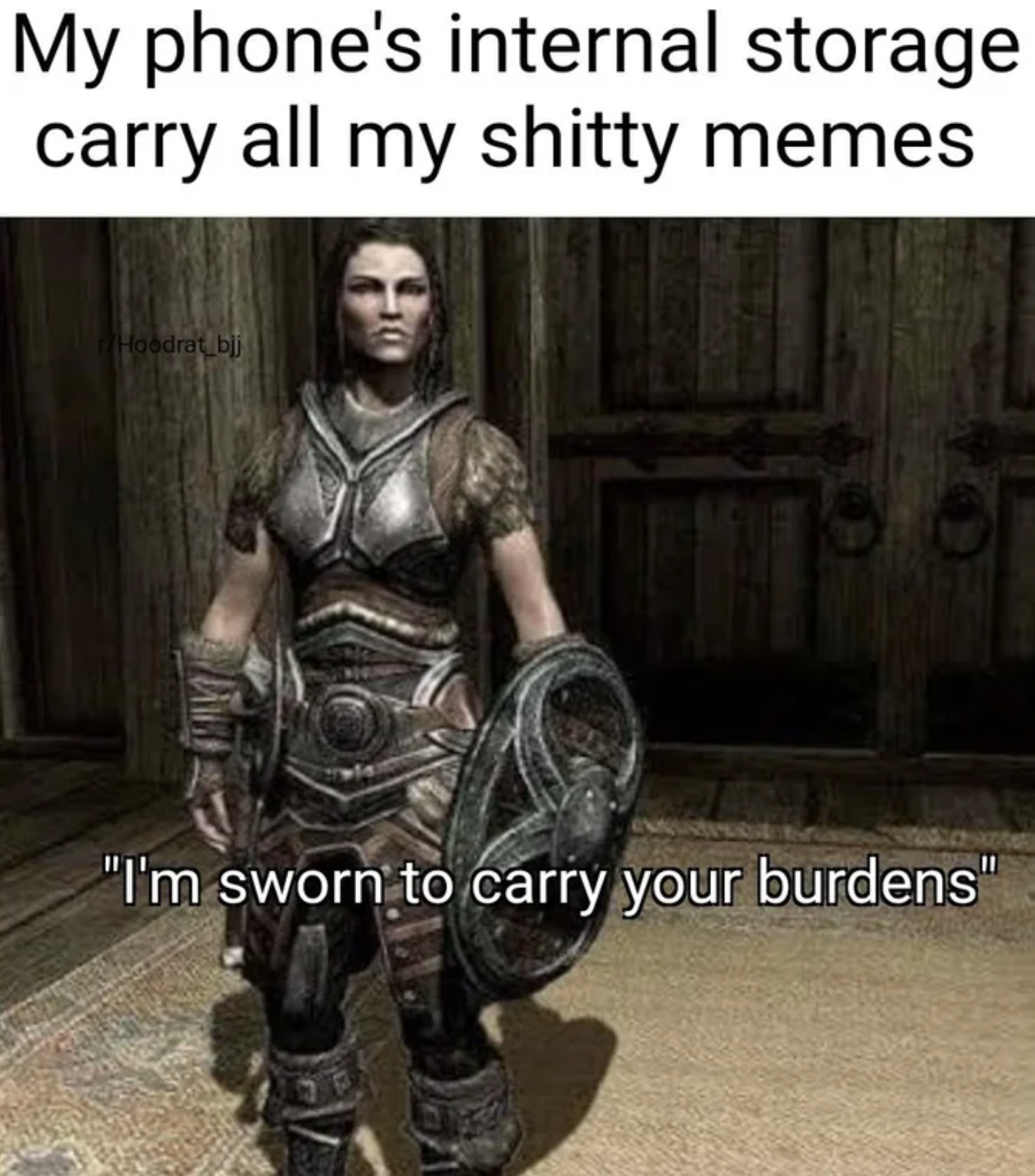 funny gaming memes - armour - My phone's internal storage carry all my shitty memes Hoodrol.