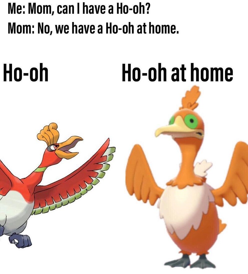 funny gaming memes - pokemon ho oh - Me Mom, can I have a Hooh? Mom No, we have a Hooh at home. Hooh Hooh at home www