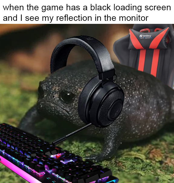 funny gaming memes - game has a black loading screen - when the game has a black loading screen and I see my reflection in the monitor