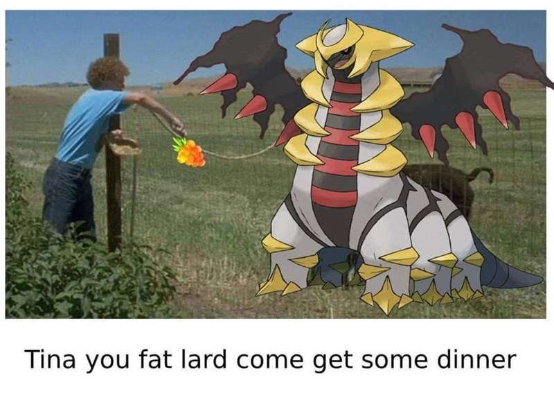 funny gaming memes and pics - pokemon giratina - Tina you fat lard come get some dinner
