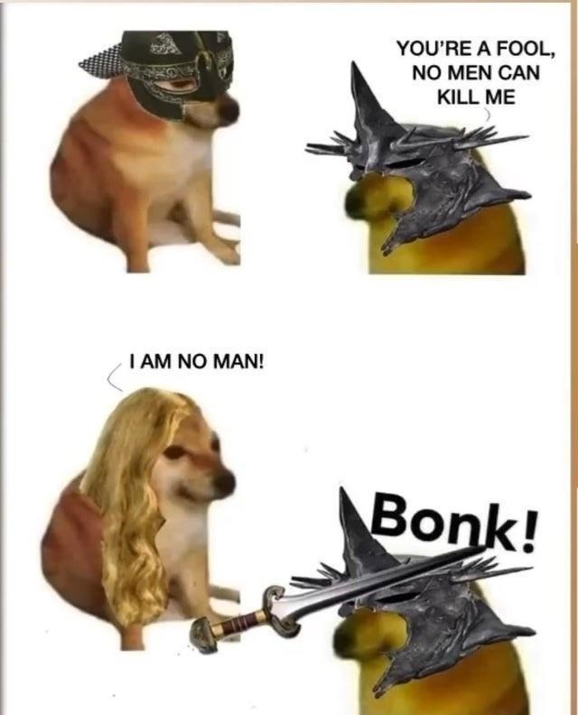 funny gaming memes and pics - bonk meme - You'Re A Fool, No Men Can Kill Me I Am No Man! Bonk!