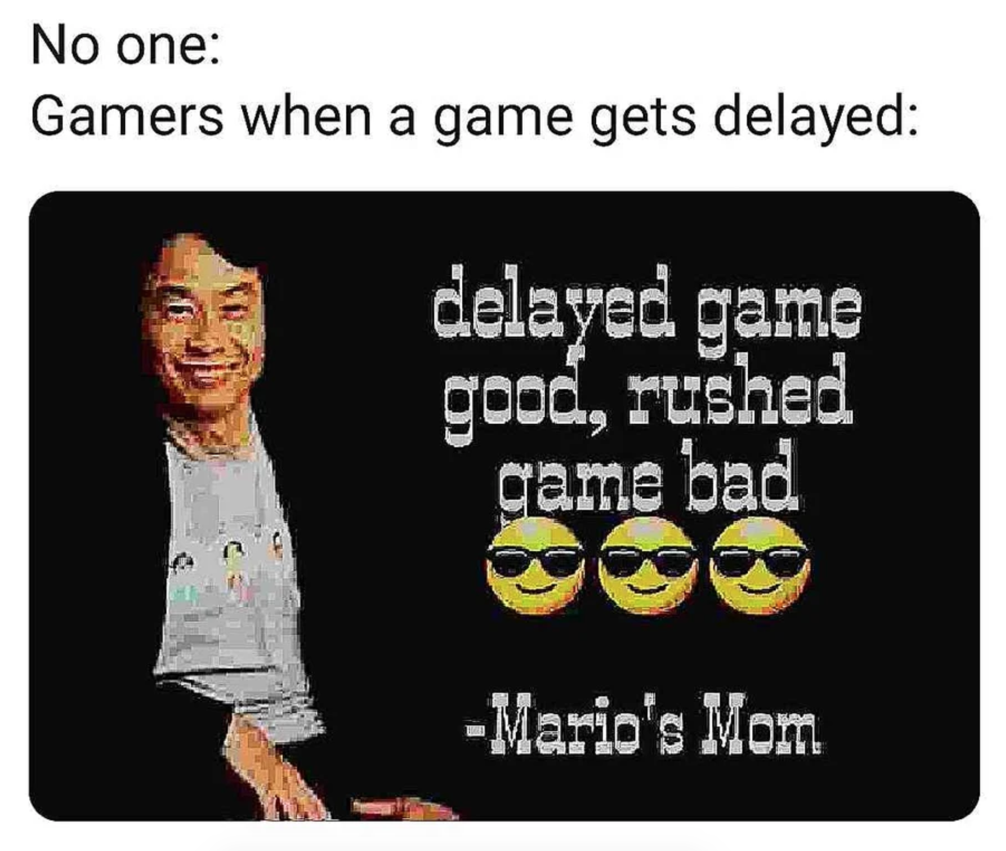 funny gaming memes and pics - shigeru miyamoto - No one Gamers when a game gets delayed delayed game good, rushed game bad Mario's Mom