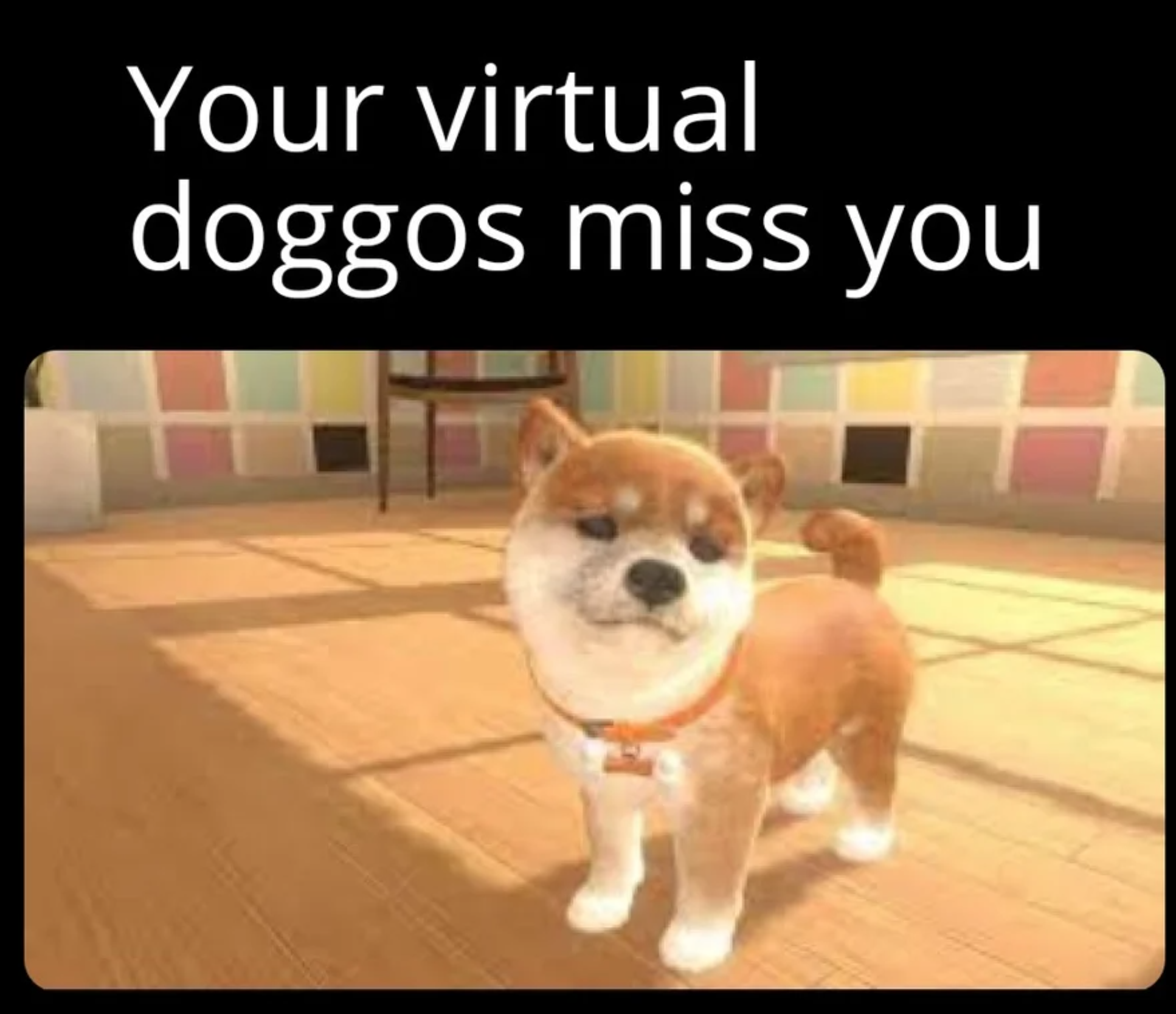 funny gaming memes and pics - dog - Your virtual doggos miss you