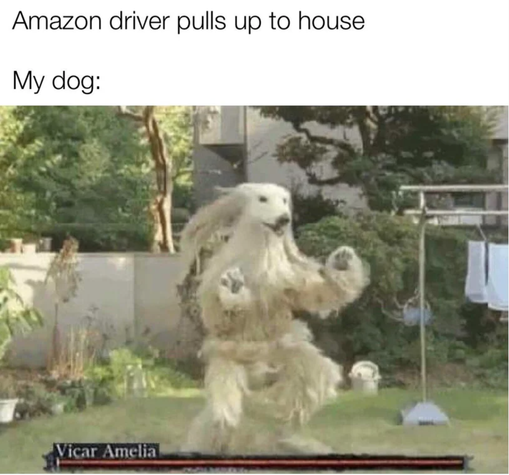 funny gaming memes - photo caption - Amazon driver pulls up to house My dog Vicar Amelia