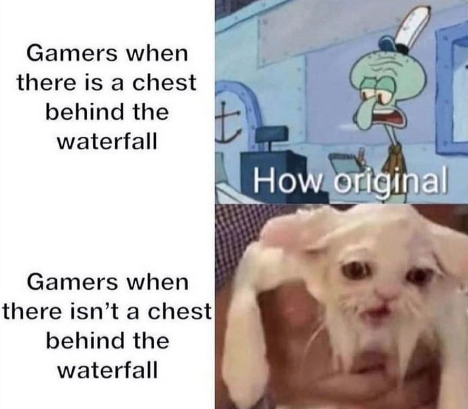 funny gaming memes - there's a chest behind the waterfall - Gamers when there is a chest behind the waterfall t How original Gamers when there isn't a chest behind the waterfall