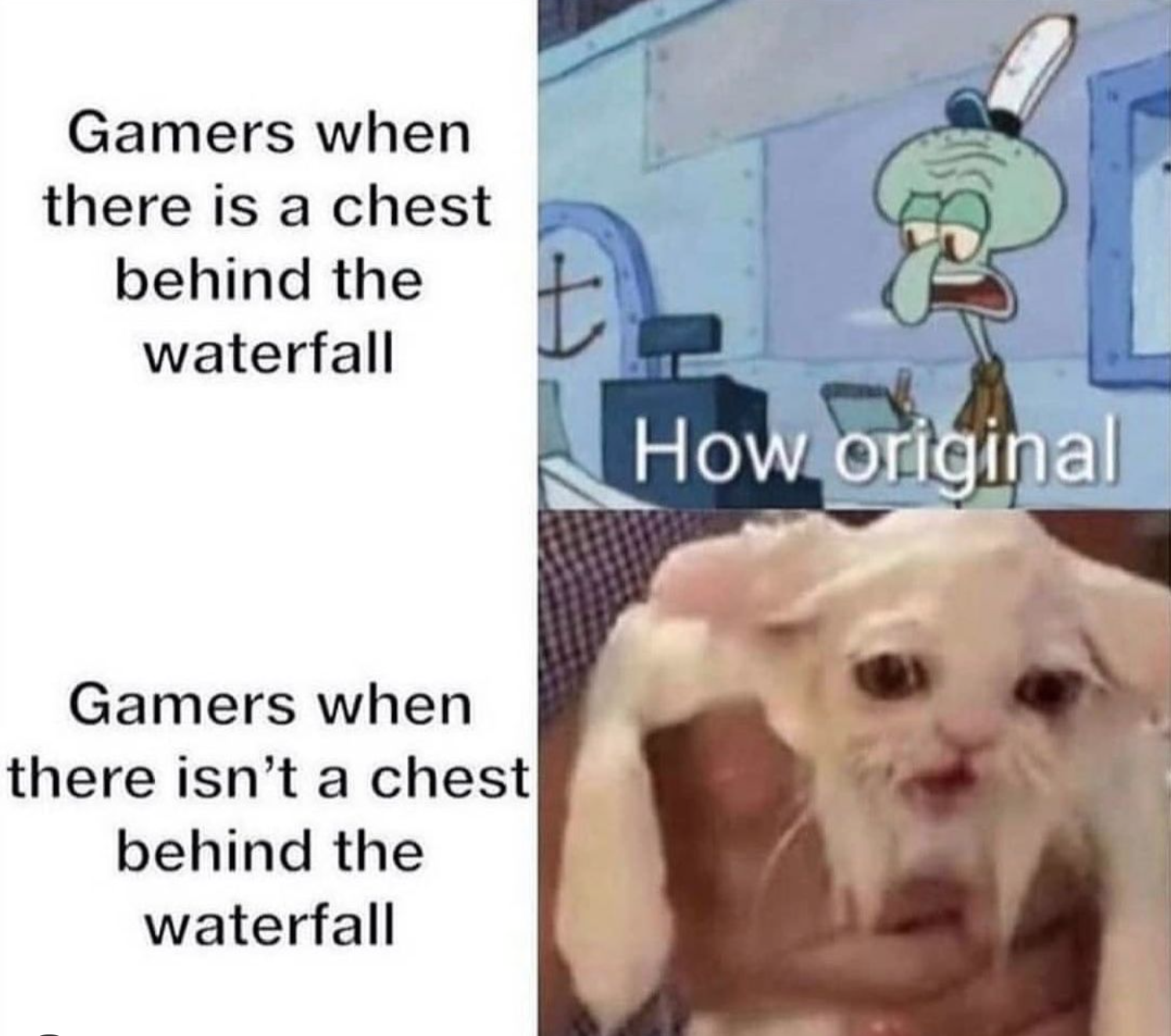 funny gaming memes  - sad cat meme - Gamers when there is a chest behind the waterfall t How original Gamers when there isn't a chest behind the waterfall