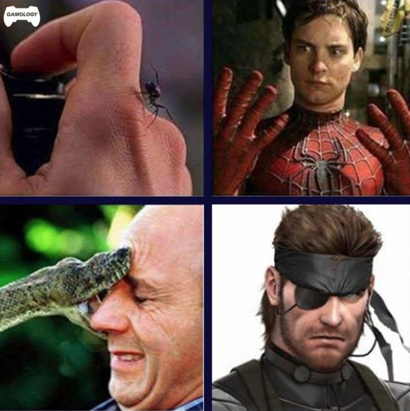 funny gaming memes  - spiderman bit by spider solidsnake bit by snake
