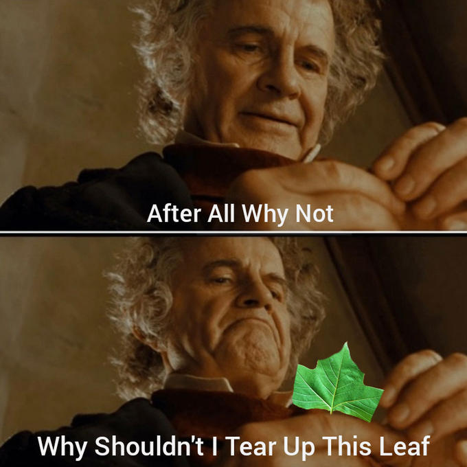 bilbo baggins after all why not meme - bilbo ring meme - 2 After All Why Not Why Shouldn't I Tear Up This Leaf