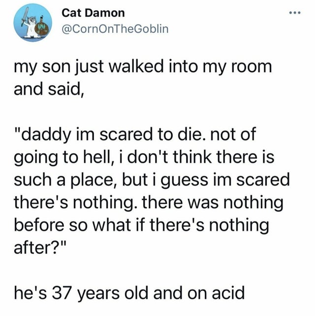 Cat Damon my son just walked into my room and said, "daddy im scared to die. not of going to hell, i don't think there is such a place, but i guess im scared there's nothing. there was nothing before so what if there's nothing after?" he's 37 years old an