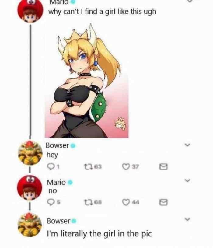 funny Mario Memes - bowser meme mario - Mario why can't I find a girl this ugh Bowser hey 1163 37 Mario no 1268 044 Bowser I'm literally the girl in the pic