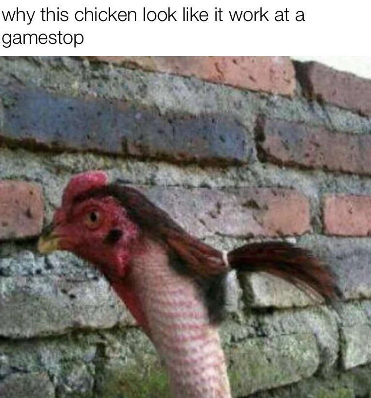 gamestop worker meme - why this chicken look it work at a gamestop