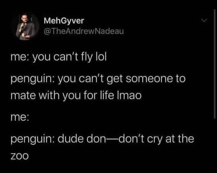 dank memes - darkness - MehGyver me you can't fly lol penguin you can't get someone to mate with you for life Imao me penguin dude dondon't cry at the Zoo