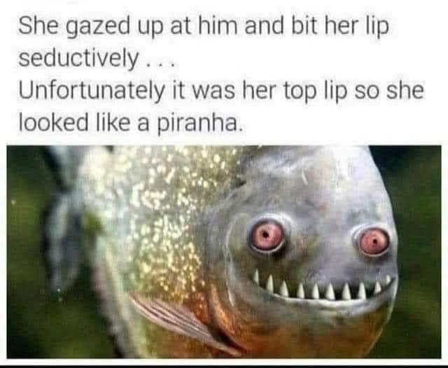 dank memes - Meme - She gazed up at him and bit her lip seductively... Unfortunately it was her top lip so she looked a piranha,