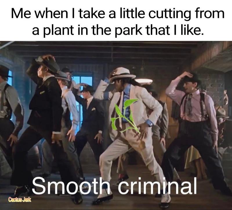 dank memes - human behavior - Me when I take a little cutting from a plant in the park that I . Smooth criminal Cactus Jarik